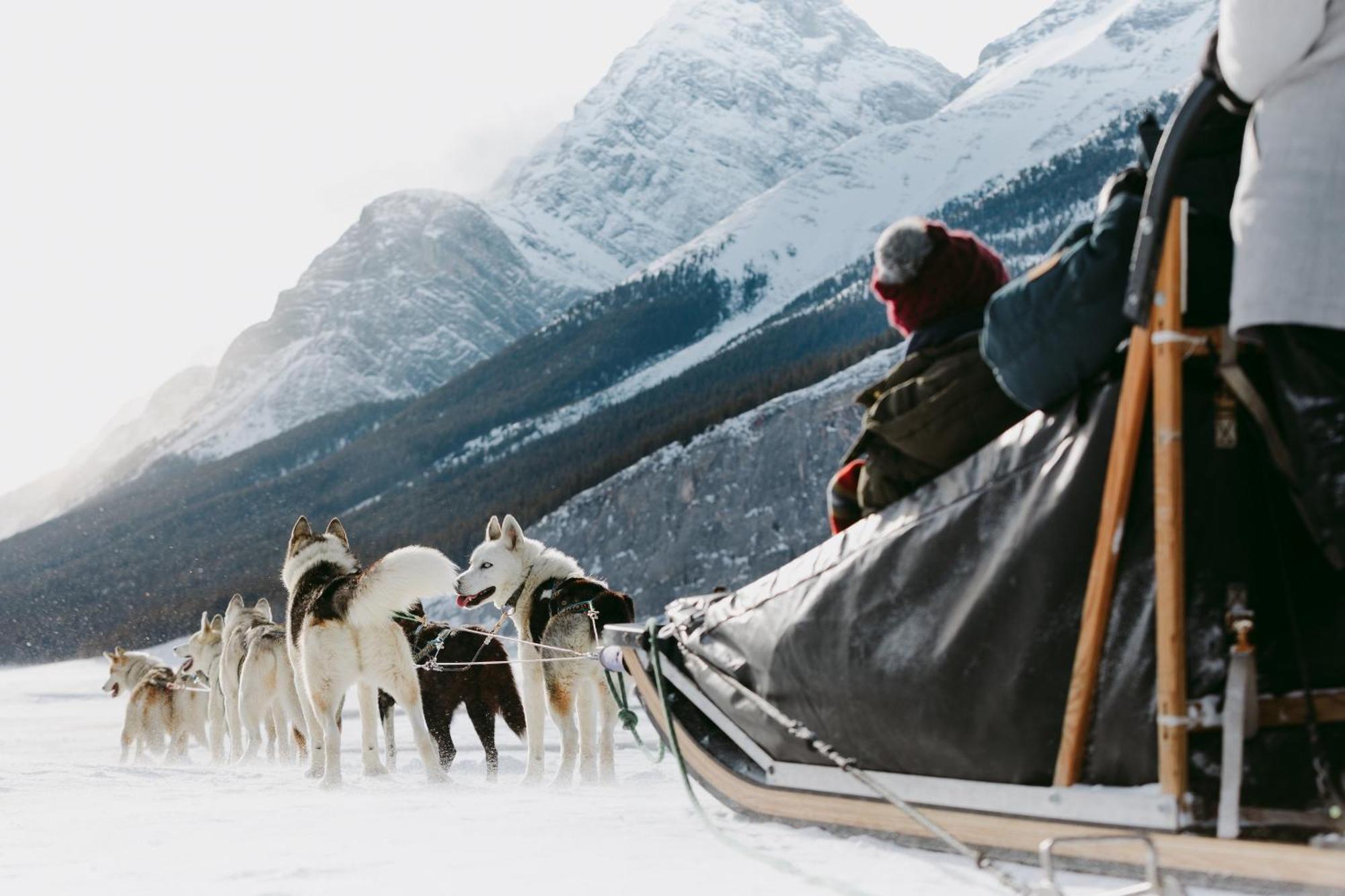 Apartament Special! New Downtown Mtn View Free Parking 2B&2B Canmore Zewnętrze zdjęcie